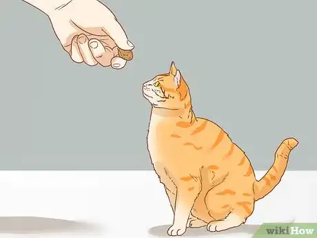 Image titled Teach Your Cat to Sit Step 8