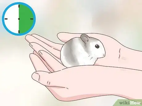 Image titled Care for Winter White Dwarf Hamsters Step 14