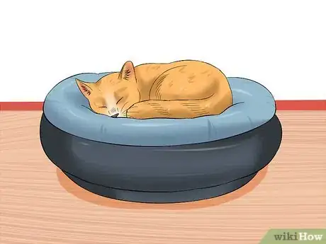 Image titled Plan and Prepare for Your New Cat Step 18