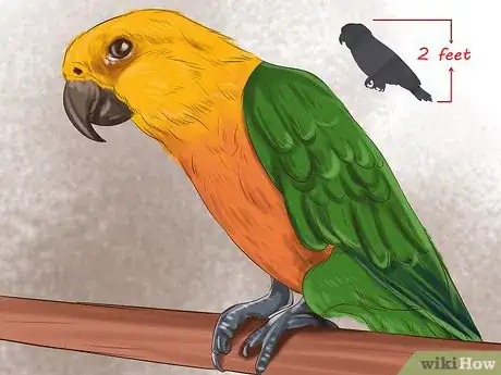Image titled Choose a Parrot Step 2