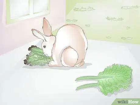 Image titled Feed Greens to Your Rabbit Step 6