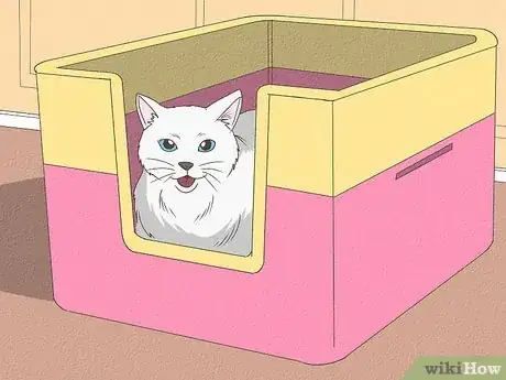 Image titled Why Do Cats Bury Their Poop Step 10