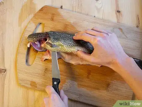 Image titled Fillet Trout Step 8