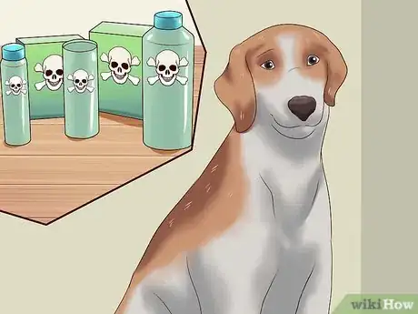 Image titled Prevent Ticks on Dogs Step 10