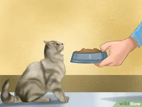 Image titled Plan a Feeding Schedule for Your Cat Step 5