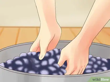 Image titled Make Blackberry Wine Step 1