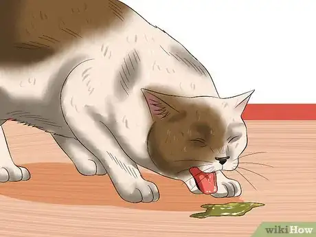 Image titled Diagnose Feline Panleukopenia (Distemper) Step 2