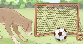 Train a Dog to Play Soccer