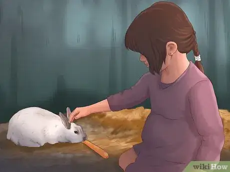 Image titled Get Your Bunny Used to You Step 9