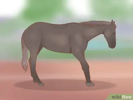 Image titled Recognize and Treat Laminitis (Founder) in Horses Step 5