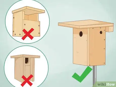 Image titled Deter House Wrens from Nestboxes Step 5