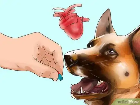 Image titled Use Fish Oil for Dogs Step 3