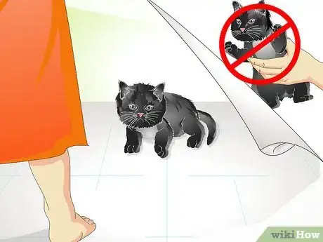 Image titled Help a New Kitten Become Familiar with Your Home Step 14