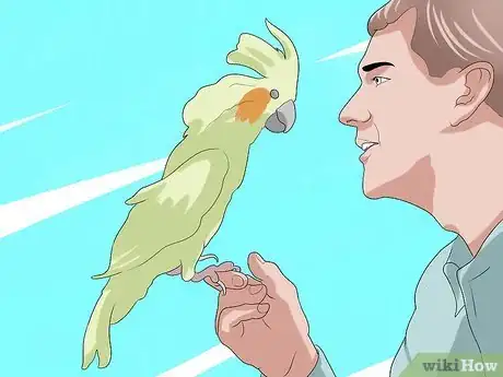 Image titled Take Care of a Cockatiel Step 14