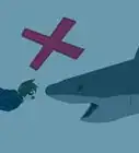 Prevent a Shark Attack