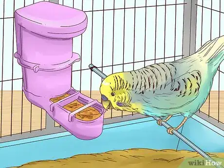 Image titled Take Care of a Budgie Step 5
