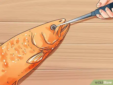 Image titled Humanely Kill a Fish Step 16