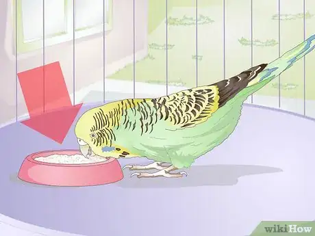 Image titled Feed Budgies Step 4