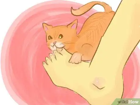 Image titled Stop a Kitten from Biting Step 2