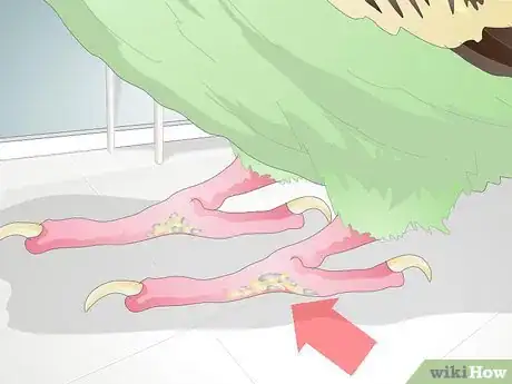 Image titled Get Rid of Mites on Budgies Step 11