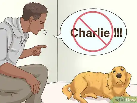 Image titled Train Your New Dog to Respond to a New Name Step 9