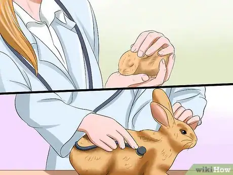 Image titled Prepare for Baby Bunnies Step 26