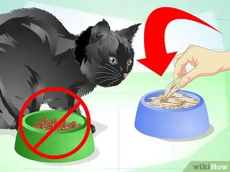 Image titled Get Rid of Bad Cat Breath Step 12