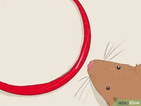 Image titled Train Your Hamster to Jump Through a Hoop Step 2