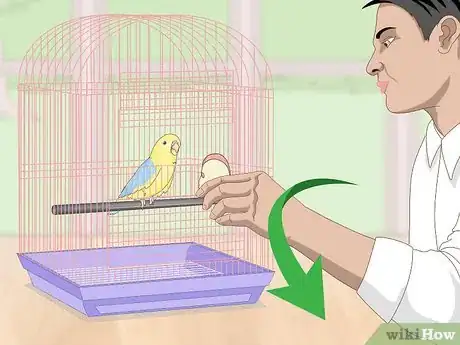 Image titled Deal with Parrotlet Aggression Step 4