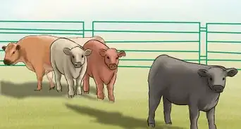 Make a Fence With Cattle Panels