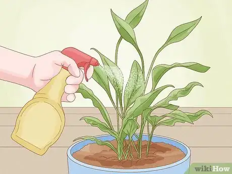 Image titled Revive a Plant Step 24