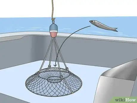 Image titled Catch Lobsters Step 17