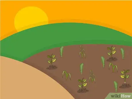 Image titled Plant Sugar Apples Step 13