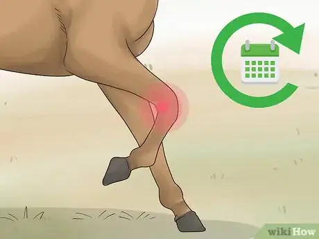 Image titled Treat Arthritis in Horses Step 9