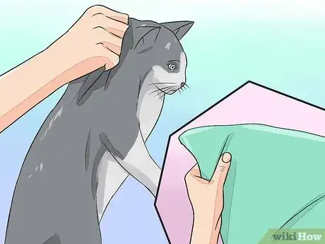 Image titled Give Your Cat Nose Drops Step 15