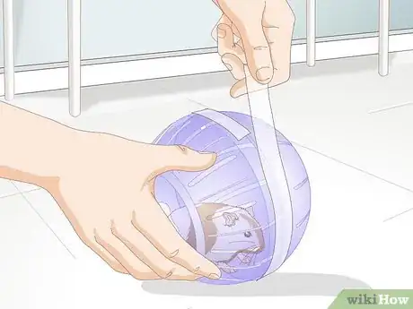 Image titled Use a Hamster Ball Step 14