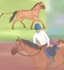 Train a Horse