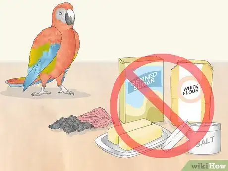 Image titled Stop a Macaw from Feather Picking or Chewing Step 12