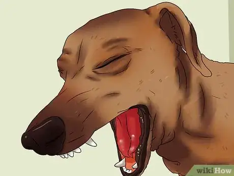 Image titled Treat Kennel Cough Step 3