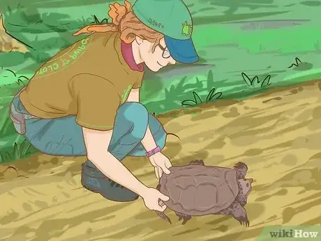 Image titled Pick Up a Snapping Turtle Step 2