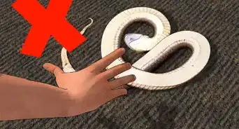 Prevent Snake Bites