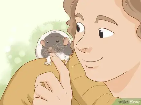 Image titled Train Your Rat to Do Tricks Step 13