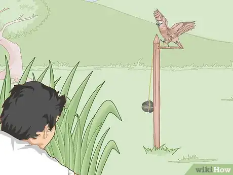 Image titled Trap a Backyard Bird Step 12
