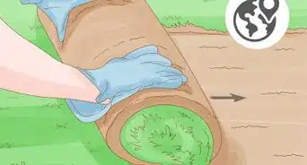 Treat Lawn Fungus Naturally