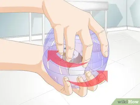 Image titled Use a Hamster Ball Step 13