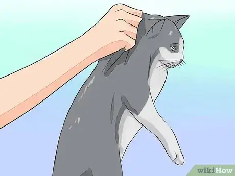 Image titled Give Your Cat Nose Drops Step 13
