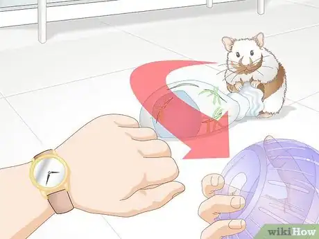 Image titled Use a Hamster Ball Step 10