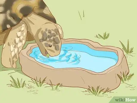 Image titled Care for a Leopard Tortoise Step 11