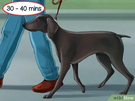 Image titled Give Your Dog Healthy Attention Step 5