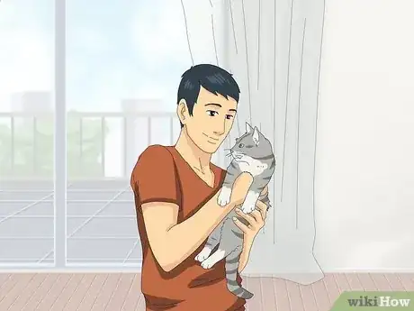 Image titled Get Your Cat to Know and Love You Step 1